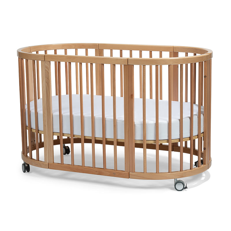Cocoon Lolli Furniture Sprout 4 in 1 Cot